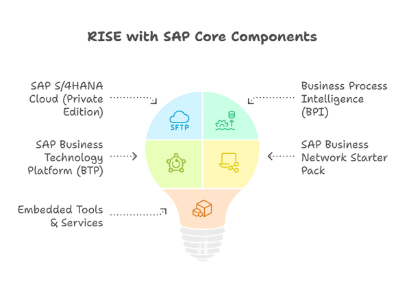 Navigating the Transformation: A Strategic C-Suite Guide to RISE with SAP